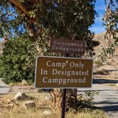 Review photo of Cottonwood Cove Campground — Lake Mead National Recreation Area by Greg L., November 11, 2022