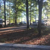 Review photo of Piney Grove Campground by Shana D., September 16, 2018