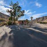 Review photo of Cottonwood Cove Campground — Lake Mead National Recreation Area by Greg L., November 11, 2022