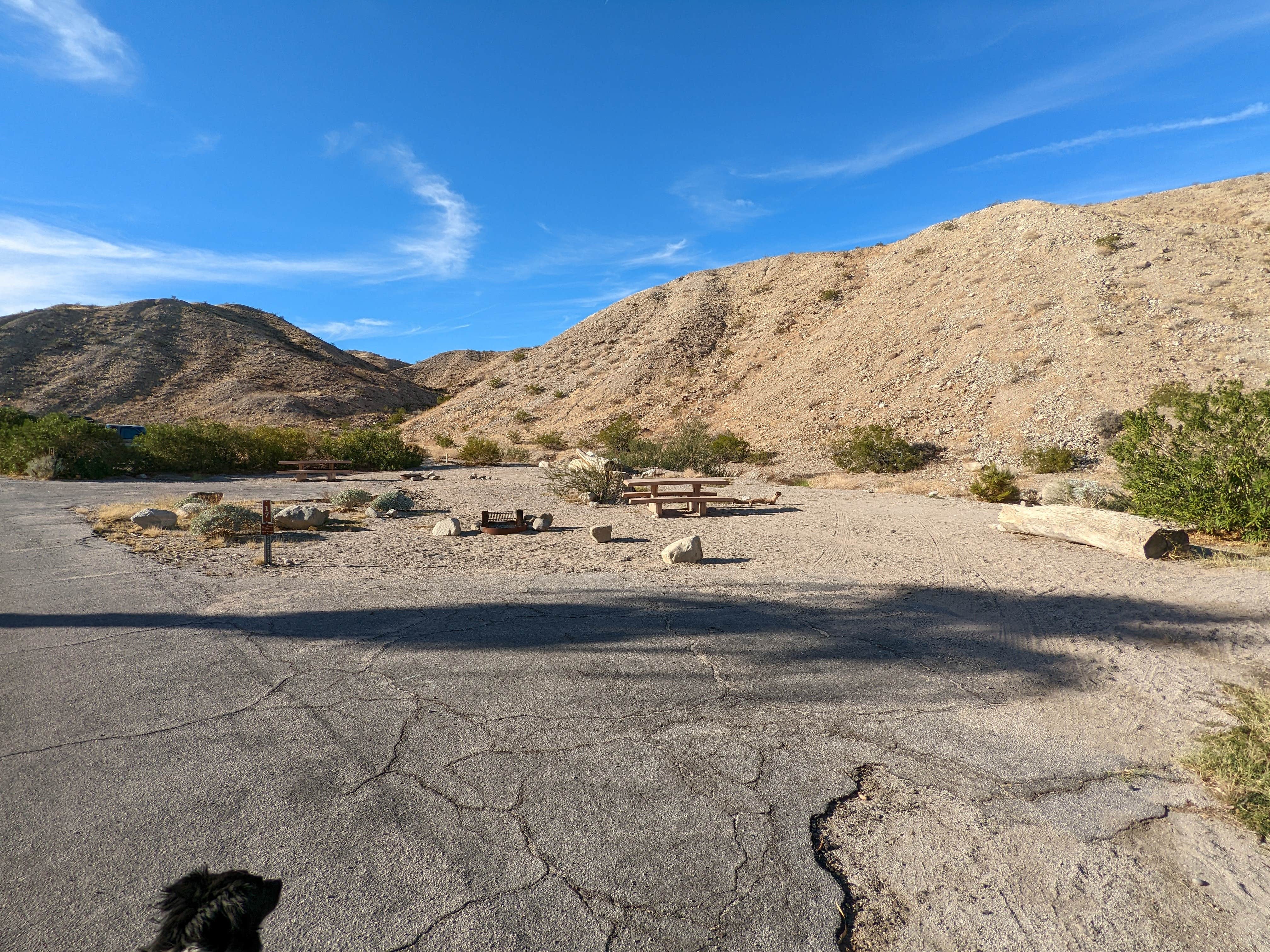 Greg L.'s photo of camping with pets at Cottonwood Cove Campground — Lake Mead National Recreation Area near Searchlight, NV