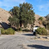 Review photo of Cottonwood Cove Campground — Lake Mead National Recreation Area by Greg L., November 11, 2022