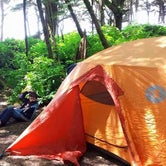 Review photo of Kalaloch Campground - group — Olympic National Park by Ashley Y., August 4, 2016