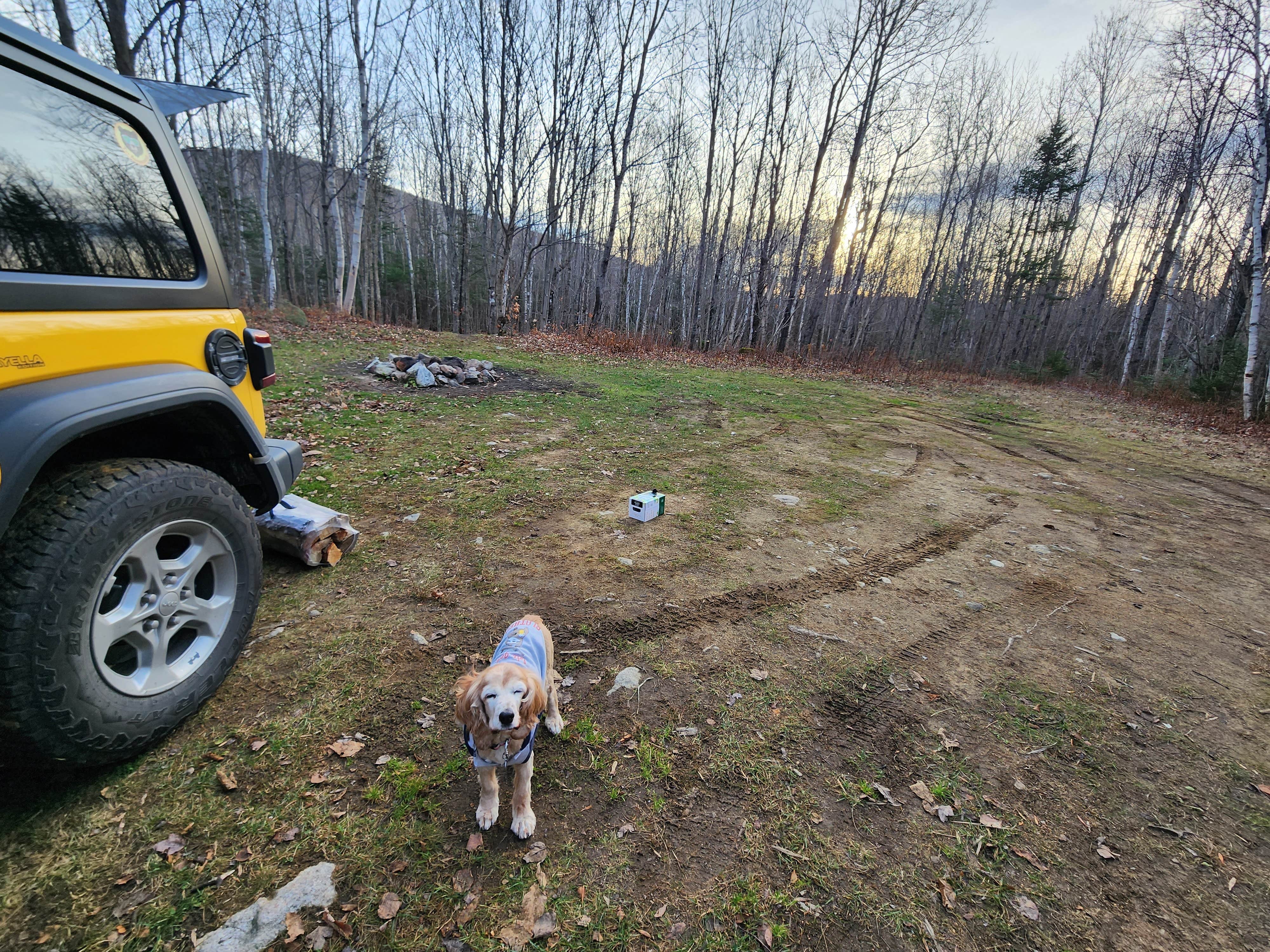 Camper-submitted photo at NFR 273 Dispersed Camping Spot near Whately, MA