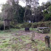 Review photo of Mackerricher State Park Campground by mary F., November 12, 2022