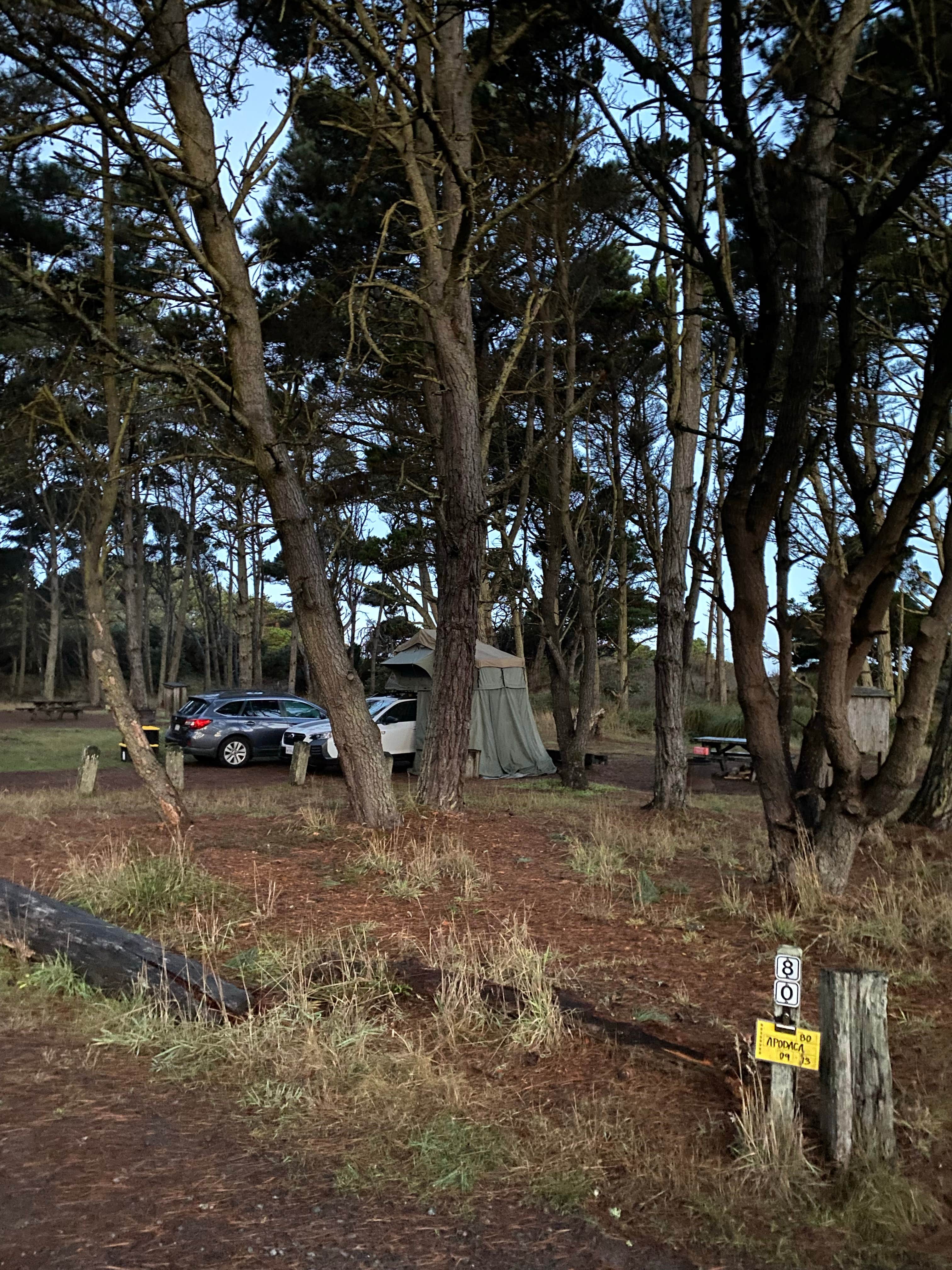 mary F.'s photo at Mackerricher State Park Campground near Soda Springs, CA