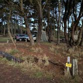 Review photo of Mackerricher State Park Campground by mary F., November 12, 2022