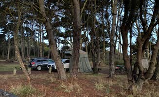 mary F.'s photo at Mackerricher State Park Campground near Caspar, CA