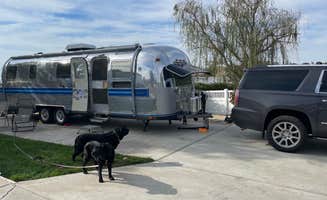 Jim M.'s photo of camping with pets at Sun Outdoors Central Coast Wine Country near Coalinga, CA