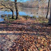 Review photo of Pocahontas State Park Campground by Jennifer  K., November 12, 2022