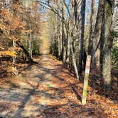 Review photo of Pocahontas State Park Campground by Jennifer  K., November 12, 2022