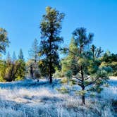 Review photo of Yosemite Pines RV Resort & Family Lodging by Meghan P., November 12, 2022