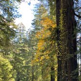 Review photo of Redcrest Resort by mary F., November 12, 2022