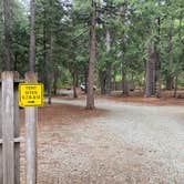 Review photo of Mt. Lassen-Shingletown KOA by Melissa B., June 4, 2022