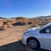 Review photo of Joshua Tree North BLM by Melissa M., November 12, 2022