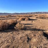 Review photo of Joshua Tree North BLM by Melissa M., November 12, 2022