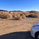 Review photo of Joshua Tree North BLM by Melissa M., November 12, 2022