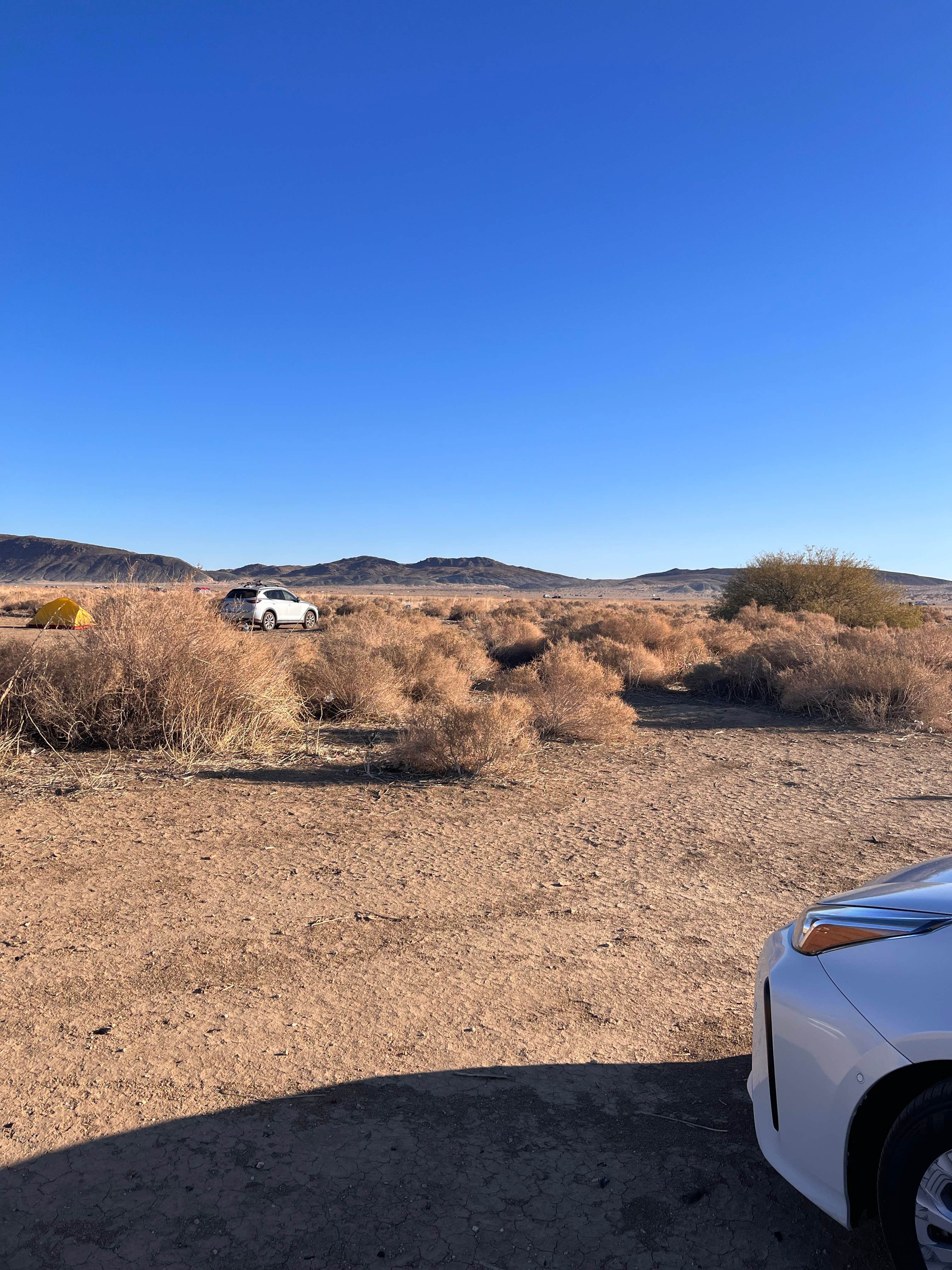 Camper submitted image from Joshua Tree North BLM - 5