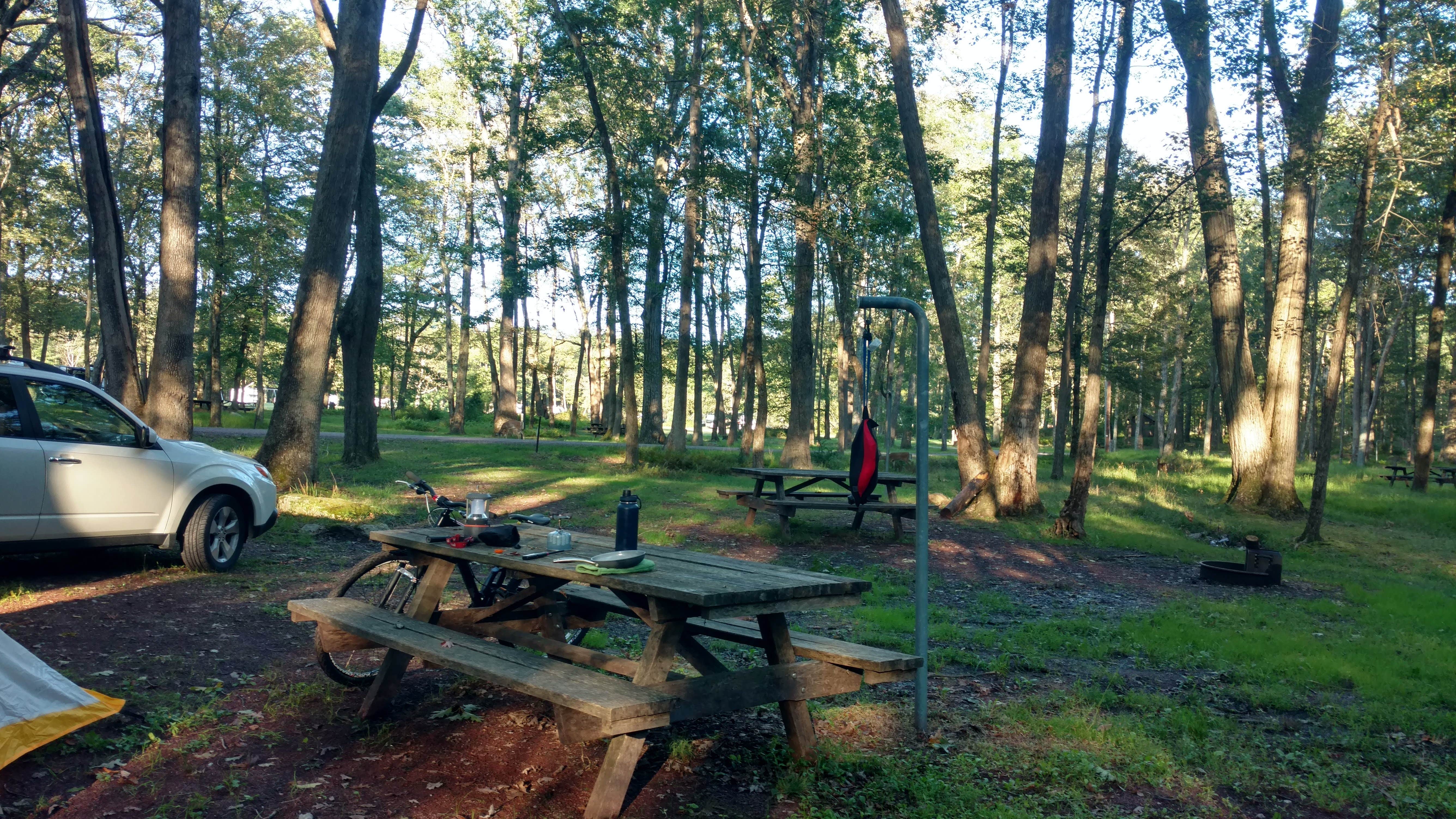 Camper submitted image from Hickory Run State Park Campground - 3