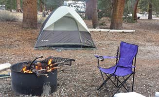 Amber D.'s photo at Glass Creek near June Lake, CA