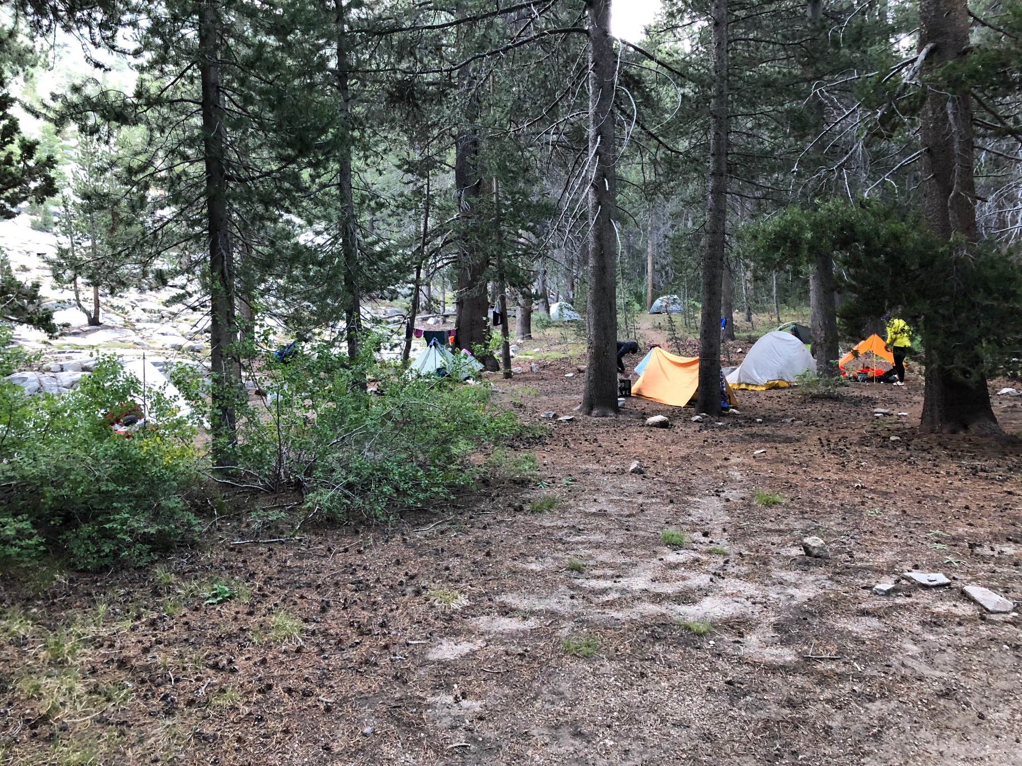 Camper-submitted photo at Bear Creek Dispersed near Big Creek, CA