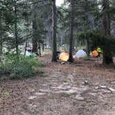 Review photo of Bear Creek Dispersed by Steph H., September 16, 2018