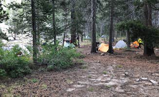 Steph H.'s photo at Bear Creek Dispersed near Mono Hot Springs, CA
