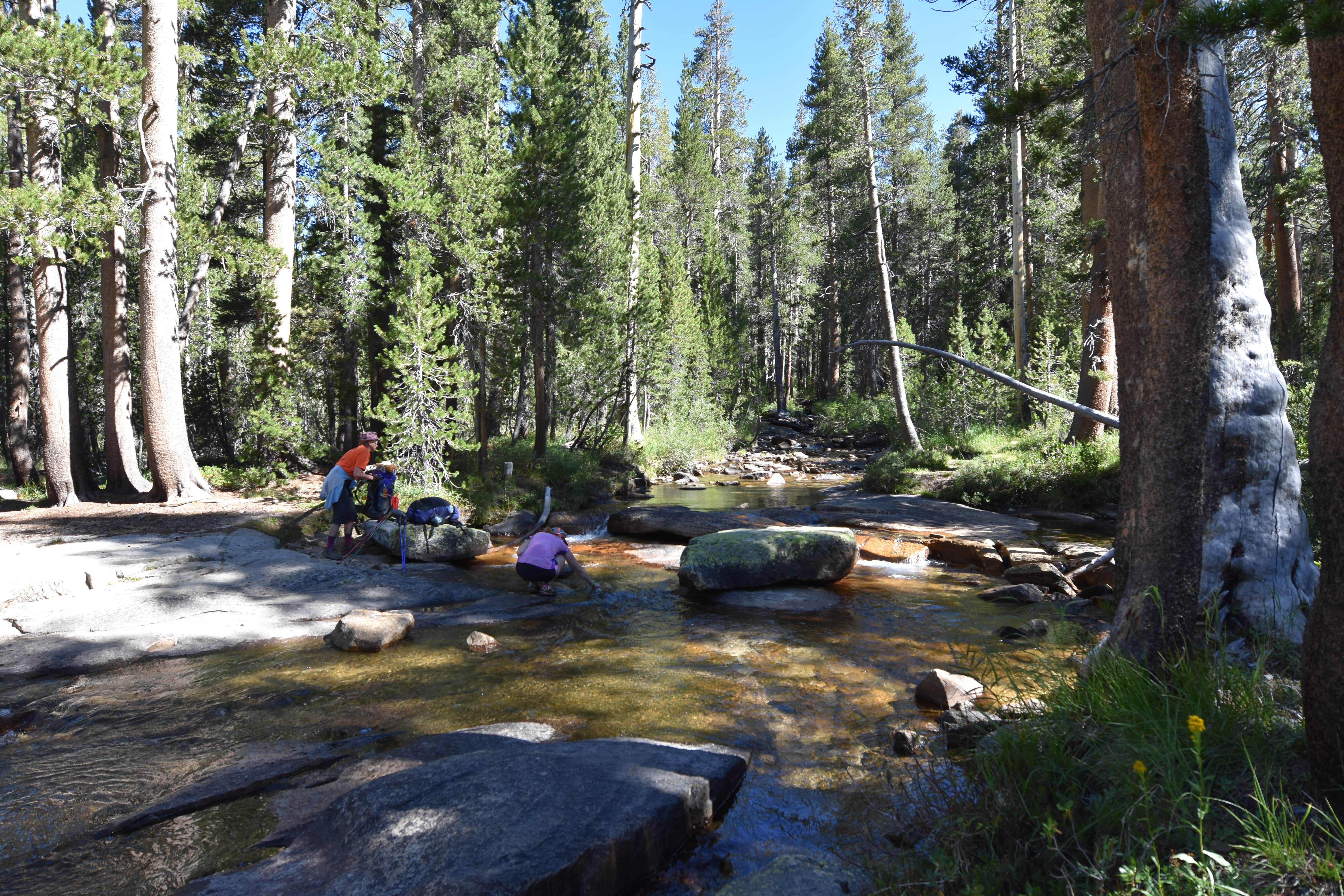 Camper-submitted photo at Bear Creek Dispersed near Big Creek, CA