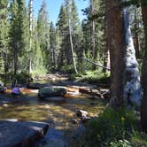 Review photo of Bear Creek Dispersed by Steph H., September 16, 2018