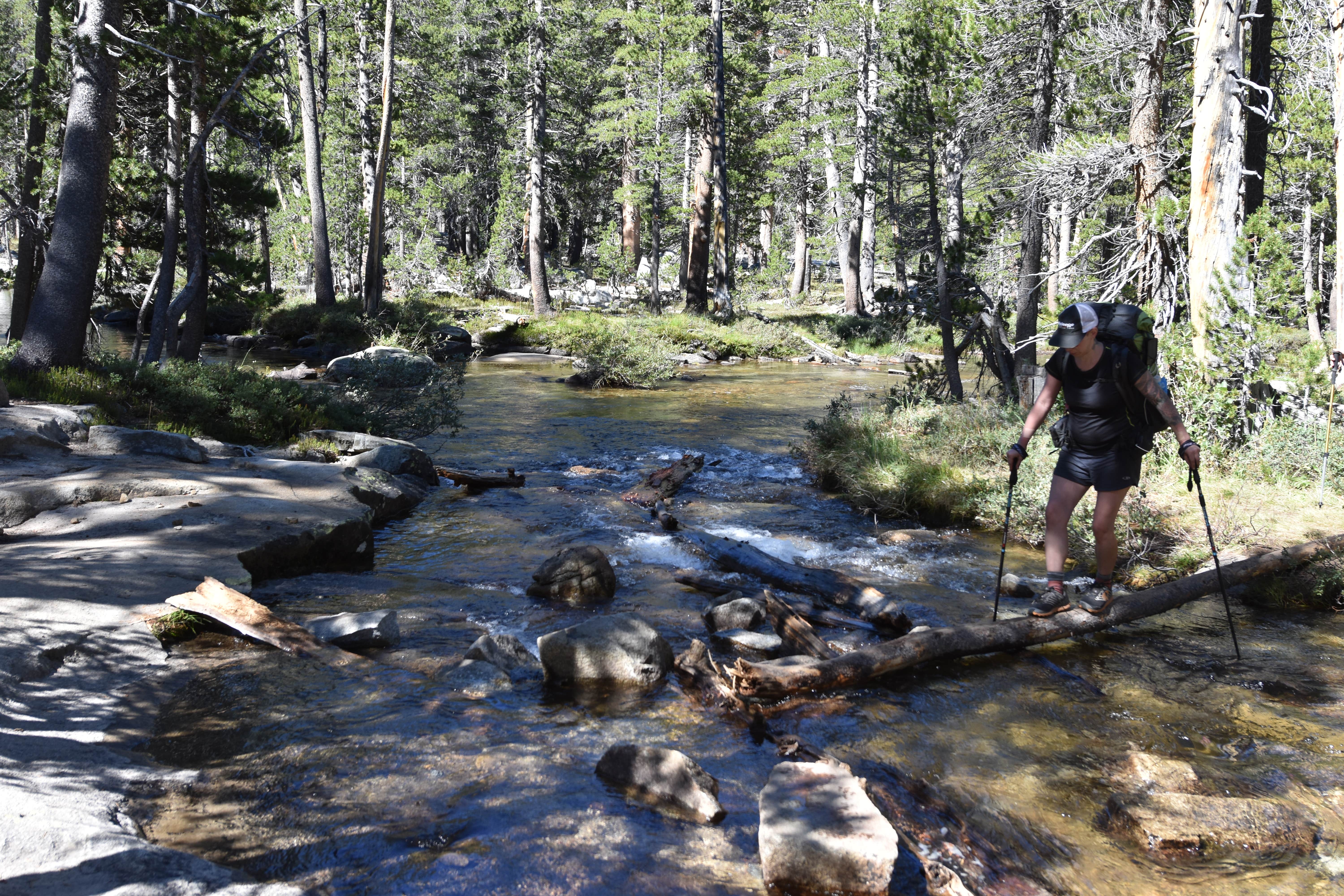 Camper-submitted photo at Bear Creek Dispersed near Big Creek, CA