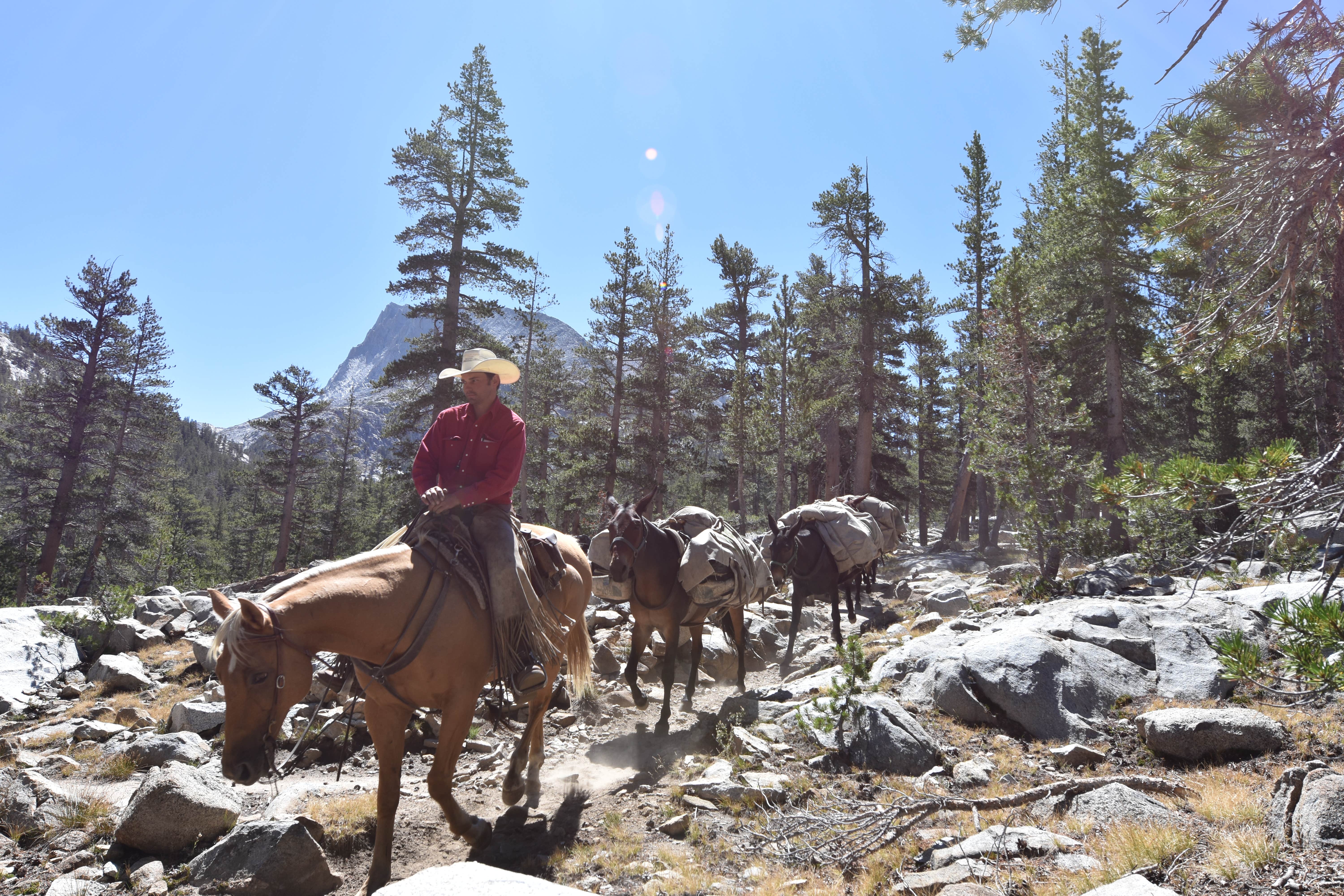 Camping near Thousand Island Lake Backcountry: Bear Creek Dispersed, Mono Hot Springs, California