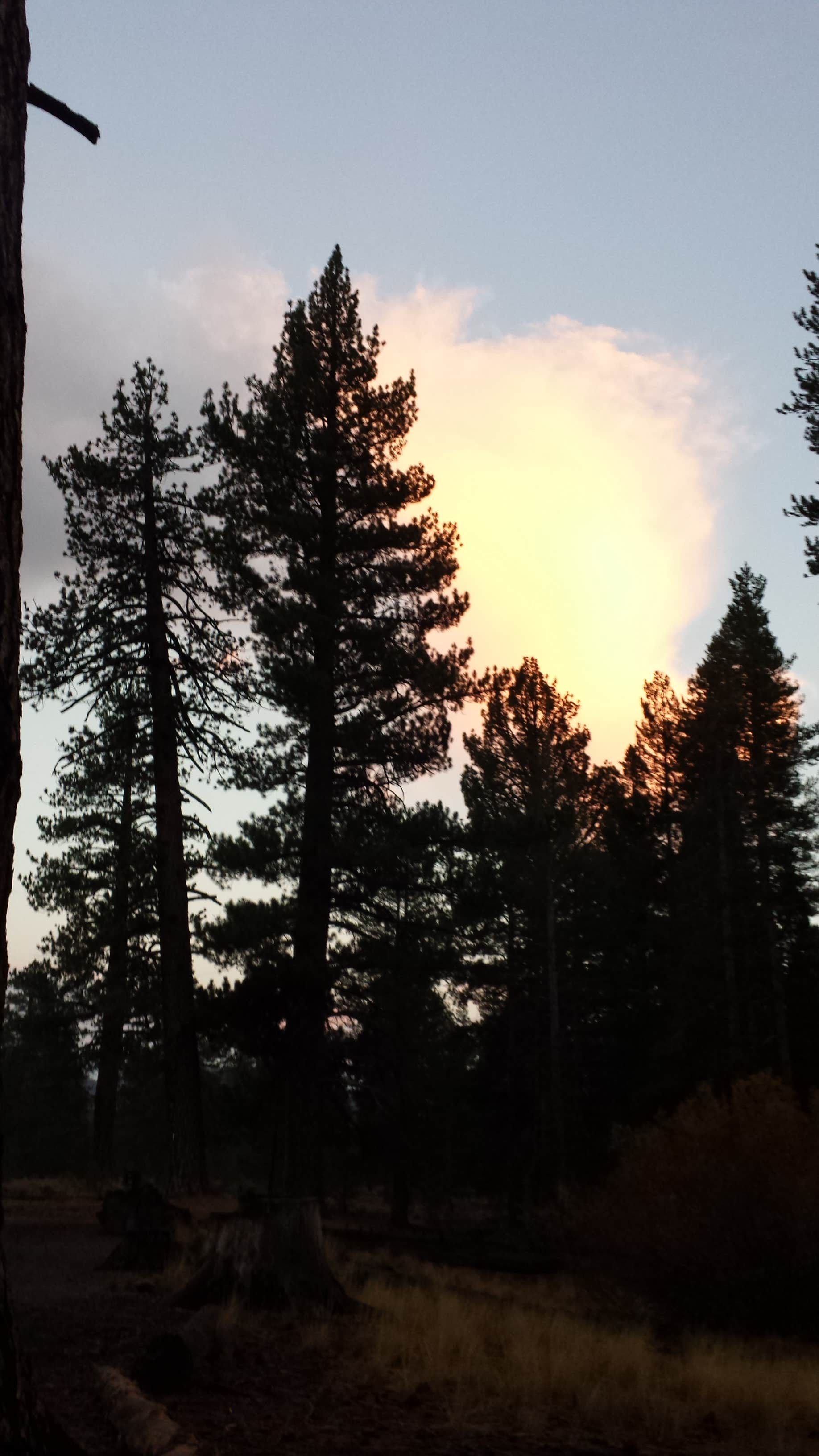 Camping near Upper Deadman Campground: Glass Creek, June Lake, California