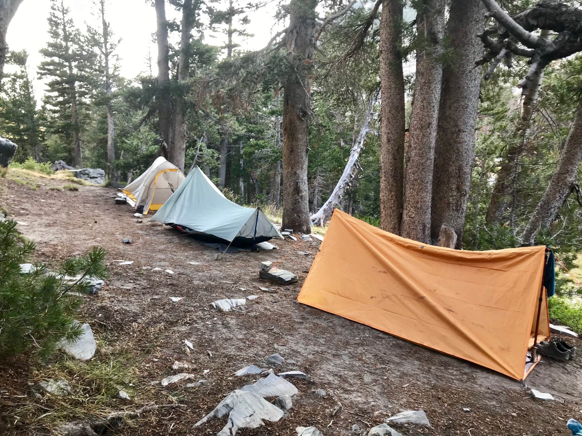 Steph H.'s photo of a dispersed camping area at Duck Lake Dispersed near Wishon, CA