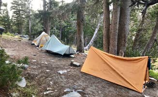 Steph H.'s photo of a dispersed camping area at Duck Lake Dispersed near Ahwahnee, CA