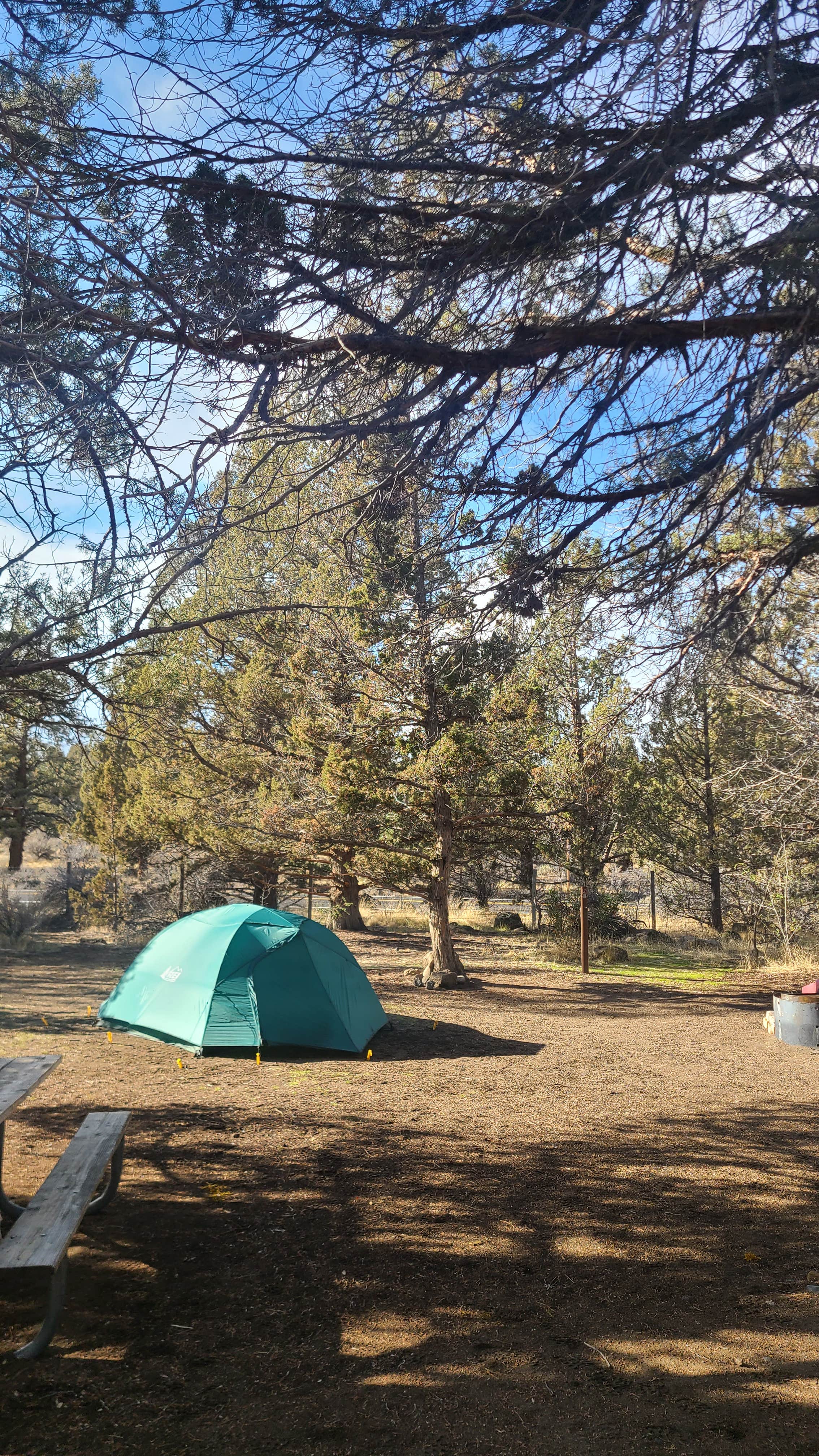 Melissa W.'s photo at Tumalo State Park Campground near Deschutes & Ochoco National Forests & Crooked River National Grassland