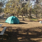 Review photo of Tumalo State Park Campground by Melissa W., November 13, 2022