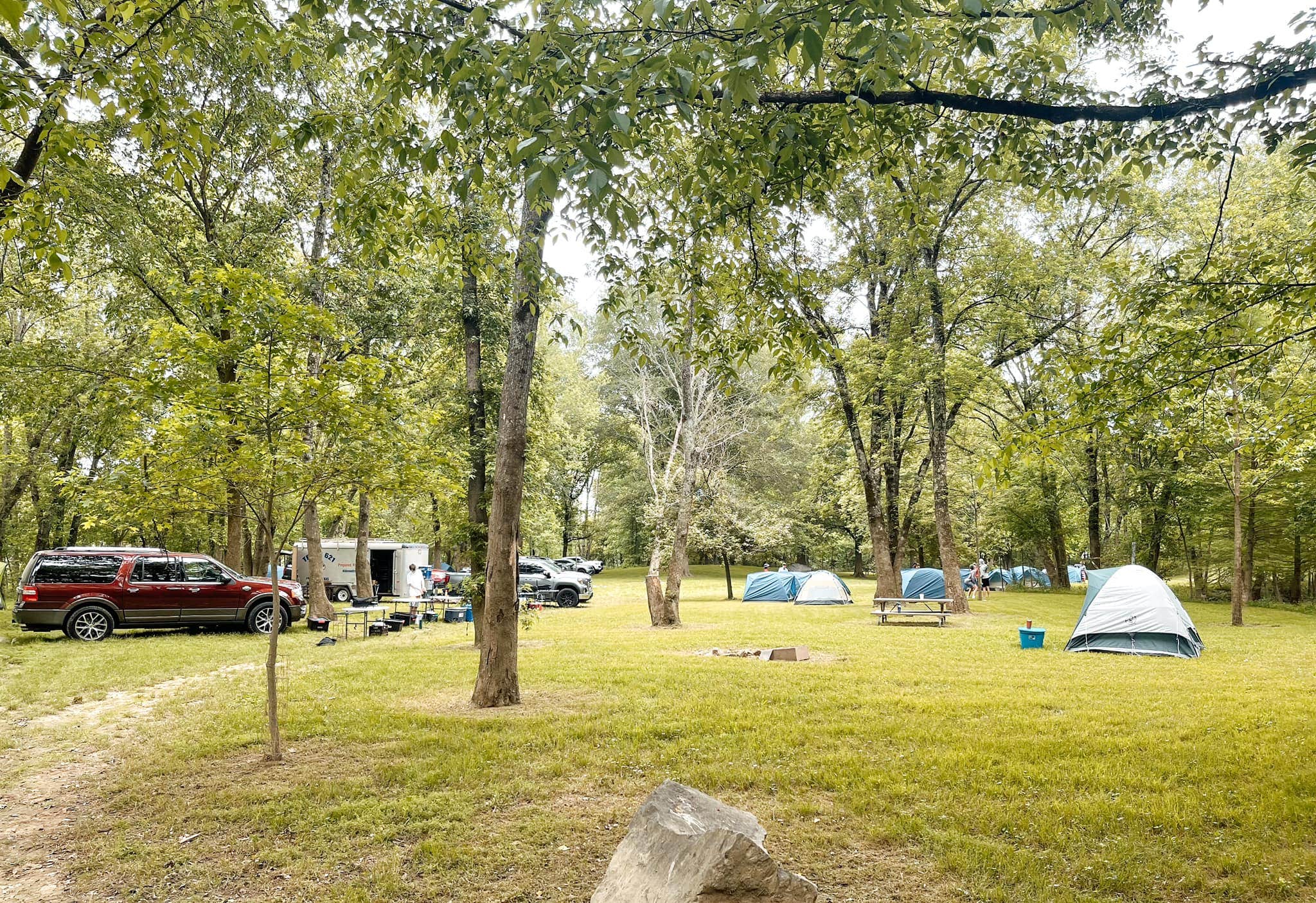 Ouachita R.'s photo at Ouachita River Haven near Oden, AR