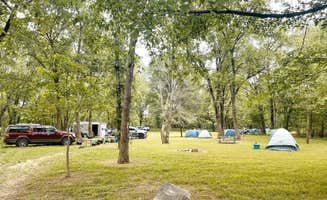 Ouachita R.'s photo at Ouachita River Haven near Ouachita National Forest