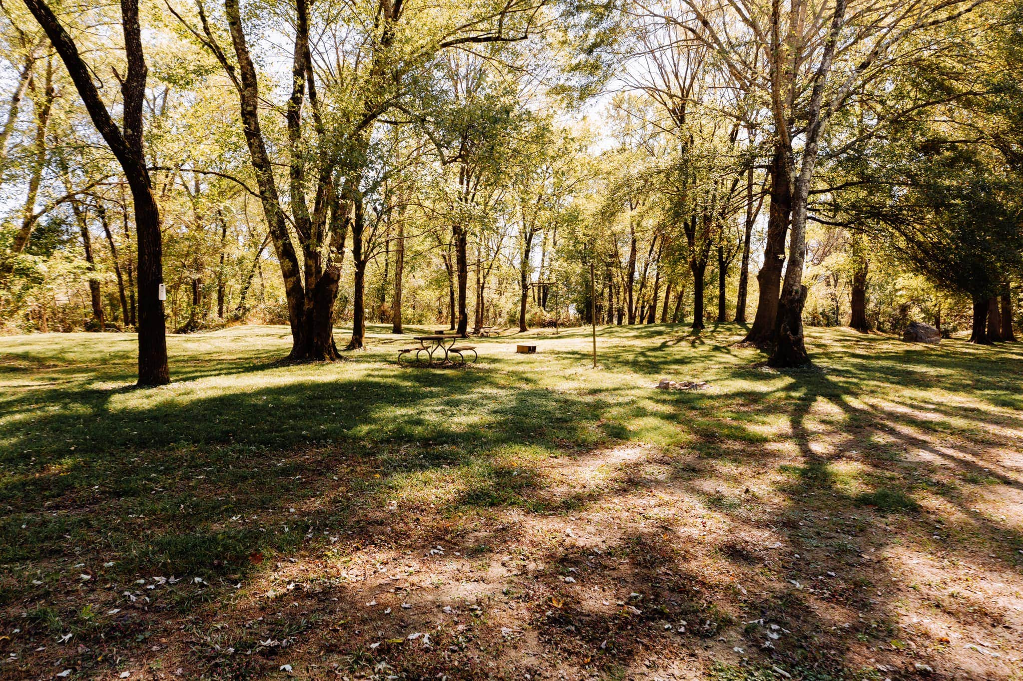 Camper submitted image from Ouachita River Haven - 1