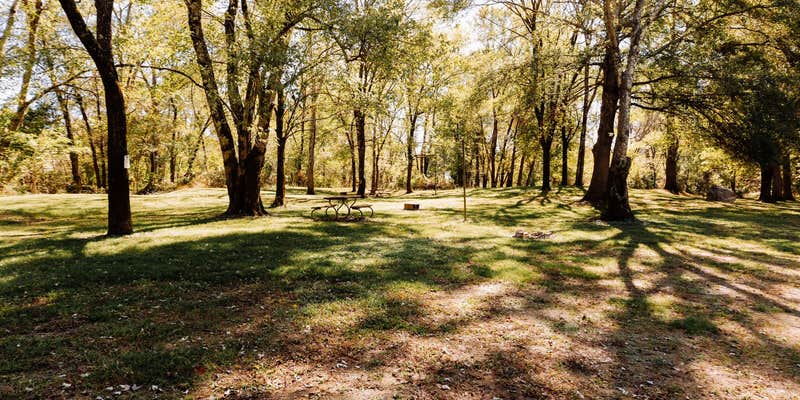 Camper submitted image from Ouachita River Haven