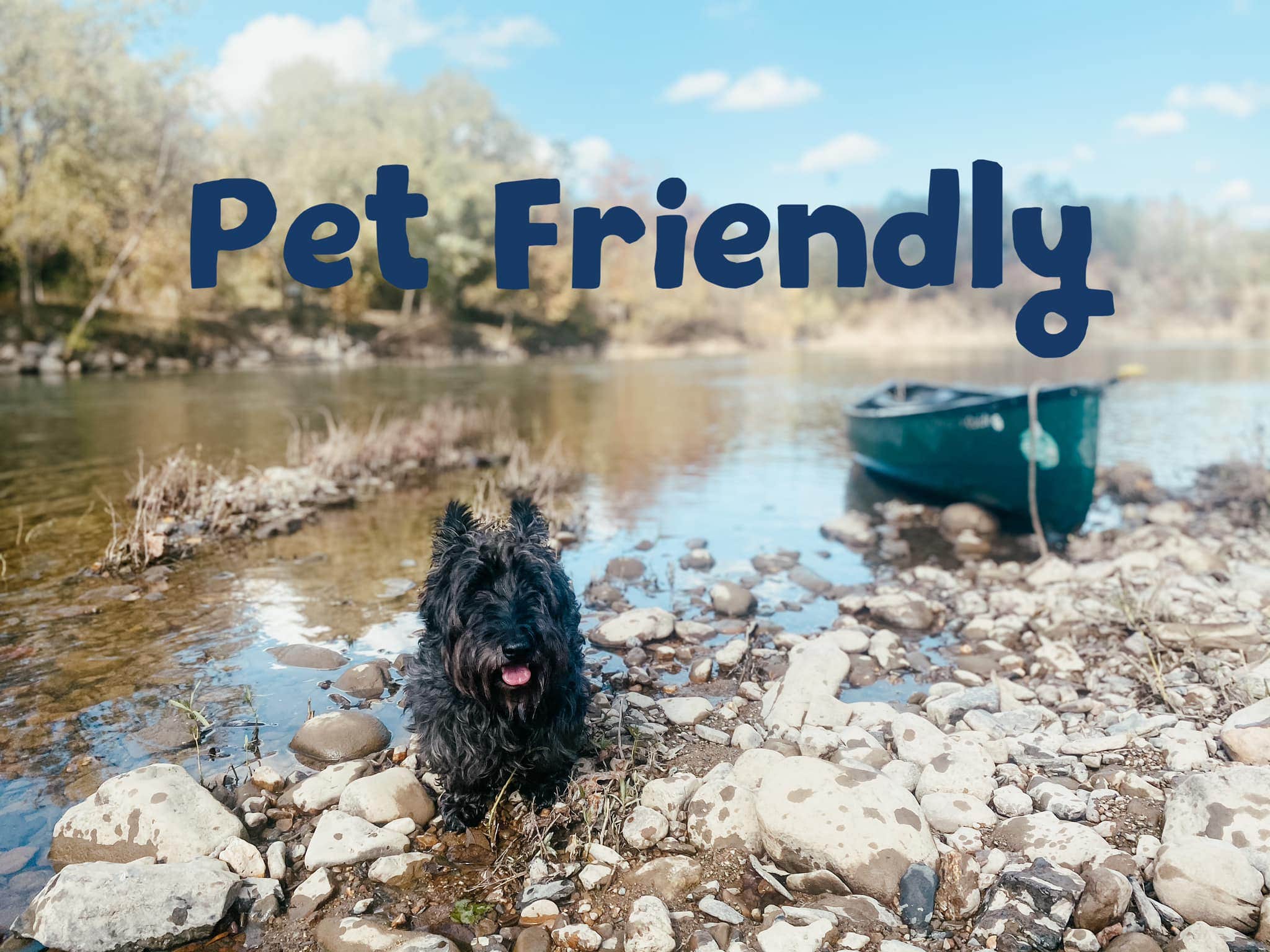 Ouachita R.'s photo of camping with pets at Ouachita River Haven near Ouachita National Forest