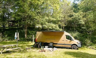 Ouachita R.'s photo of camping with pets at Ouachita River Haven near Langley, AR