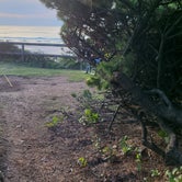 Review photo of Tillicum Beach Campground by Melissa W., November 13, 2022