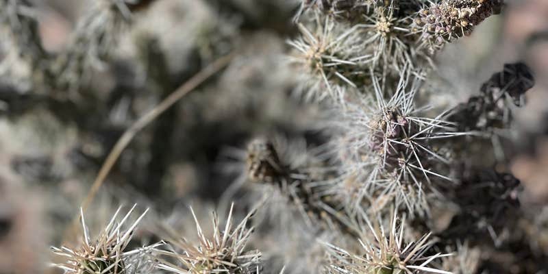 Camper submitted image from Pioche City Park