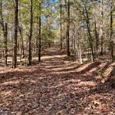 Review photo of Crater of Diamonds State Park Campground by Samantha E., November 13, 2022