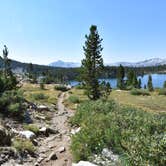 Review photo of Florence Lake Dispersed by Steph H., September 16, 2018