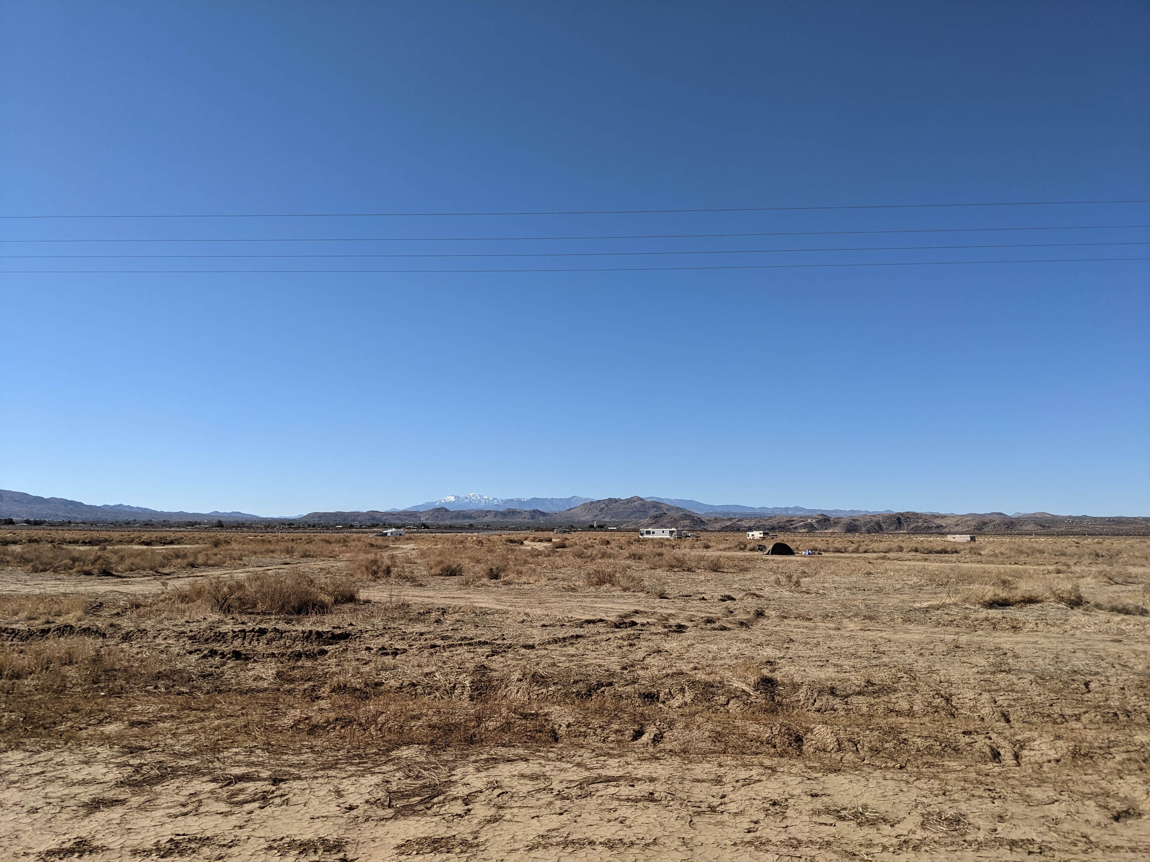 Camper submitted image from Joshua Tree North BLM - 4