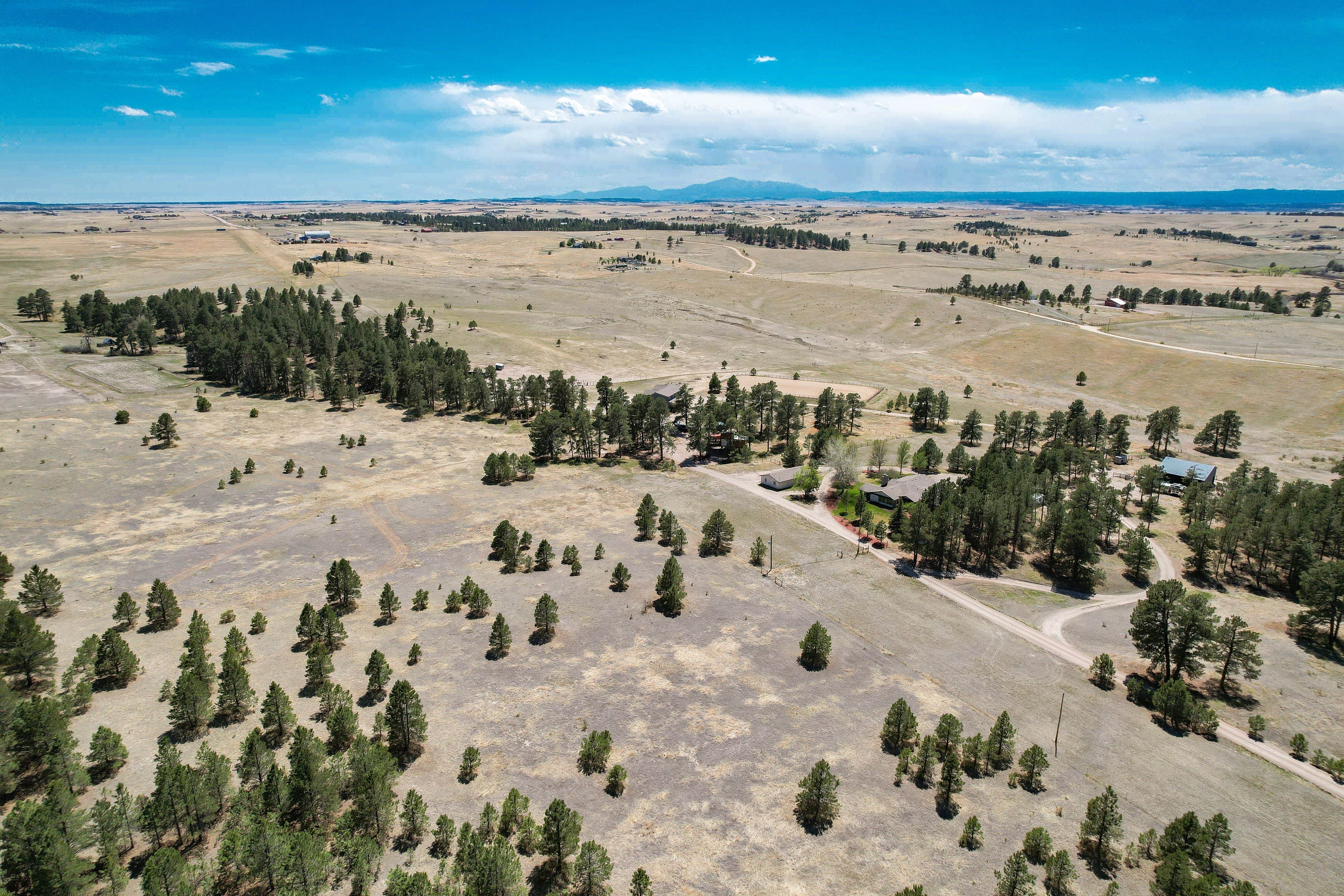 Camper-submitted photo at Treehouse Magic near Aurora, CO