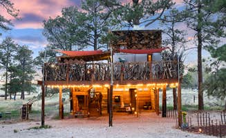 Marni K.'s photo of a cabin at Treehouse Magic near Sedalia, CO