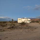 Review photo of Joshua Tree South - BLM Dispersed by Laura M., November 13, 2022