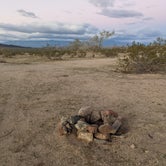 Review photo of Joshua Tree South - BLM Dispersed by Laura M., November 13, 2022